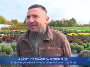 A LĂSAT STRĂINĂTATEA PENTRU FLORI