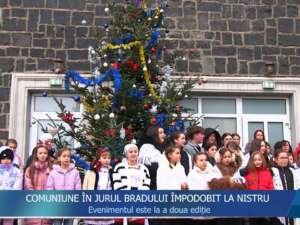 COMUNIUNE ÎN JURUL BRADULUI ÎMPODOBIT, LA NISTRU